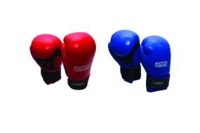 Boxing Gloves Combo - Free Size Red and Blue