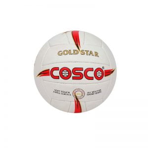 Cosco Gold Star Volleyball Stitched