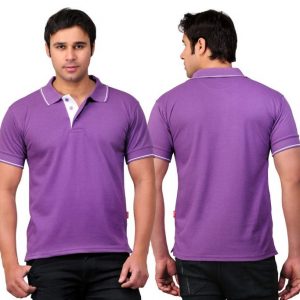 Scott Purple With White Strip Polo T Shirts